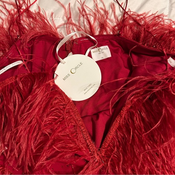 Miss Circle Red Mini Dress XL Crystals Feathers Stretch Holiday Party Dress - Picture 7 of 13